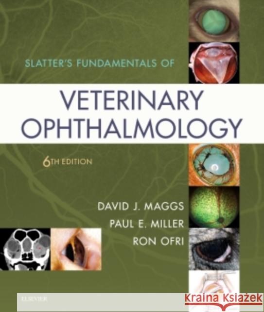 Slatter's Fundamentals of Veterinary Ophthalmology David Maggs Paul Miller Ron Ofri 9780323443371 Saunders - książka