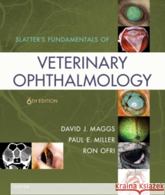 Slatter's Fundamentals of Veterinary Ophthalmology David Maggs Paul Miller Ron Ofri 9780323443371 Elsevier - Health Sciences Division - książka