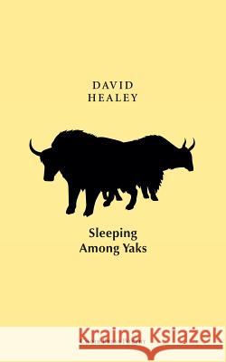 Sleeping Among Yaks David Healey 9781911589532 The Choir Press - książka