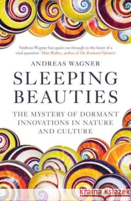 Sleeping Beauties: The Mystery of Dormant Innovations in Nature and Culture Andreas Wagner 9780861548064 Oneworld Publications - książka