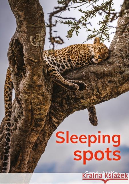 Sleeping spots Sandy McKay 9781398260177 Capstone Global Library Ltd - książka