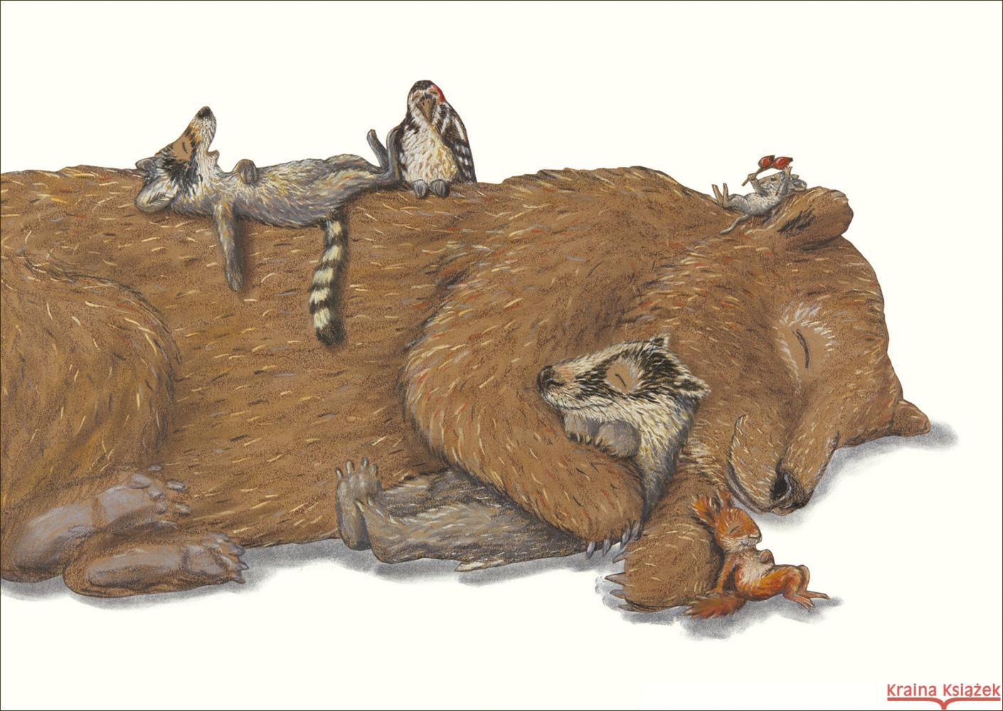 Sleepover Postkarte VE 1 = 10 Schärer, Kathrin 9783715240305 Atlantis Zürich - książka