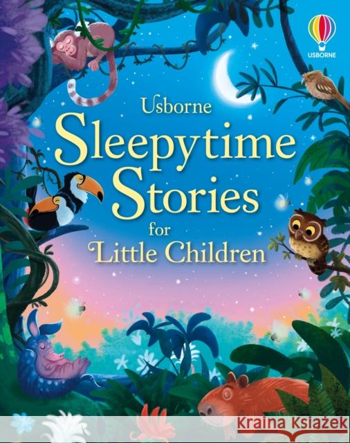 Sleepytime Stories for Little Children Sousa, Ashe de 9781474998642 Usborne Publishing Ltd - książka