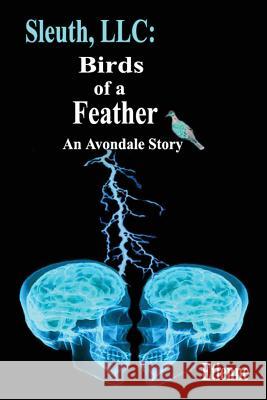 Sleuth, LLC: Birds of a Feather: An Avpndale Story Etienne 9781540519405 Createspace Independent Publishing Platform - książka