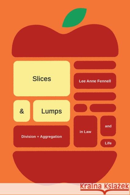 Slices and Lumps: Division and Aggregation in Law and Life Lee Anne Fennell 9780226650265 University of Chicago Press - książka