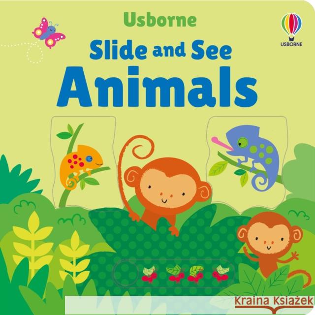 Slide and See Animals Fiona Watt 9781805076728 Usborne Publishing Ltd - książka