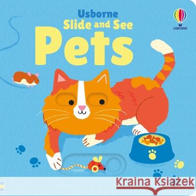 Slide and See Pets Fiona Watt 9781835404263 Usborne Publishing Ltd - książka