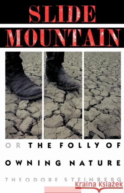 Slide Mountain: Or, the Folly of Owning Nature Steinberg, Theodore 9780520207097 University of California Press - książka