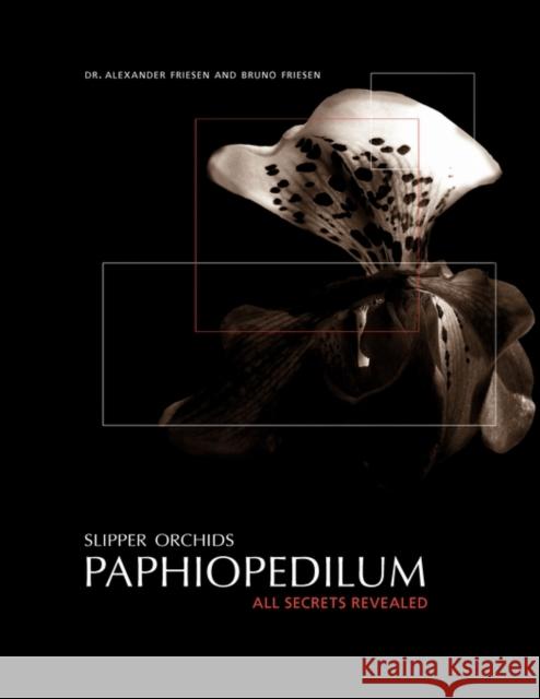 Slipper Orchids, Paphiopedilum: All Secrets Revealed Bruno Friesen 9781426920080 Trafford Publishing - książka