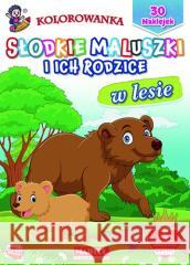 Słodkie maluszki i ich rodzice. W lesie Hubert Włodarczyk 9788367322935 Martel - książka