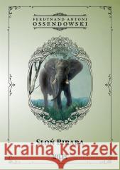 Słoń Birara Ferdynand Antoni Ossendowski 9788367068710 Miles - książka