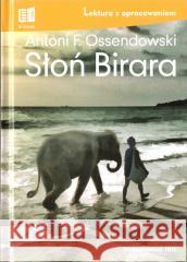 Słoń Birara. Lektura z opracowaniem Antoni Ferdynand Ossendowski 9788366969827 Ibis/Books - książka
