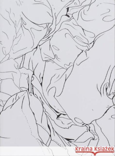 Sloppy Sleep Ingo Giezendanner 9783907179239 Nieves - książka