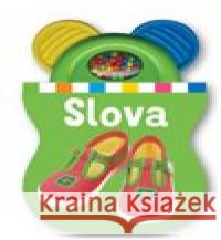 Slova Roger Priddy 9788025631478 Svojtka & Co. - książka