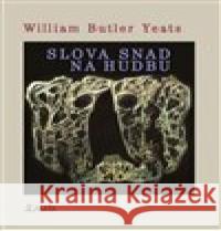 Slova snad pro hudbu Bedřich Glaser 9788072872596 Maťa - książka