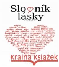 Slovník lásky David Levithan 9788025708057 Argo - książka