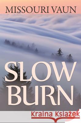 Slow Burn Missouri Vaun 9781636790985 Bold Strokes Books - książka