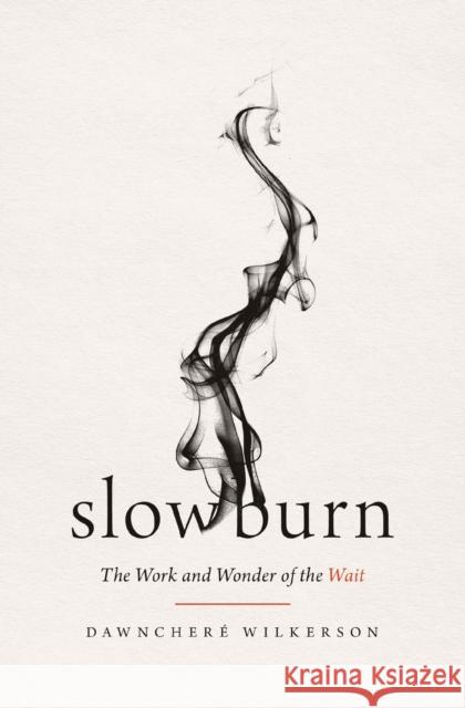 Slow Burn: The Work and Wonder of the Wait DawnChere Wilkerson 9781400345519 Thomas Nelson - książka