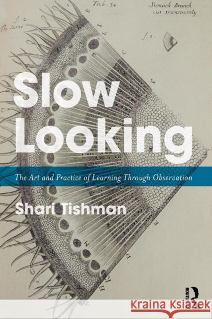 Slow Looking: The Art and Practice of Learning Through Observation Shari Tishman 9781138240414 Taylor & Francis Ltd - książka