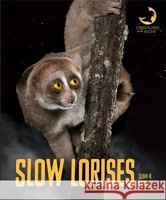 Slow Lorises Quinn M. Arnold 9781640261204 Creative Education - książka