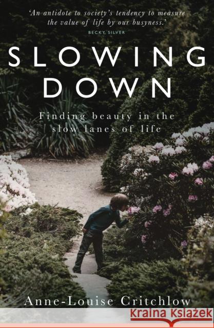 Slowing Down: Finding Beauty in the Slow Lanes of Life Rev Dr Anne-Louise Critchlow 9781912726899 Instant Apostle - książka
