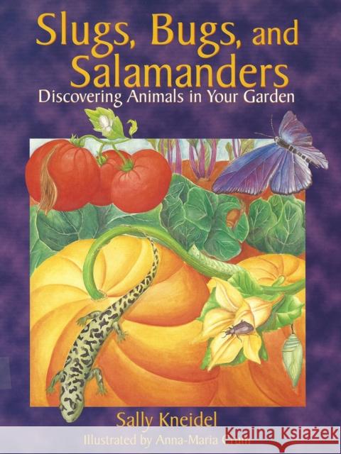Slugs, Bugs, and Salamanders Sally Kneidel Anna-Maria Crum Anna-Maria Crum 9781555913137 Fulcrum Publishing - książka