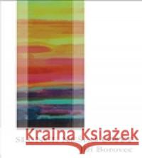 Slunce nešlo umýt Jiří Borovec 9788026073208  - książka