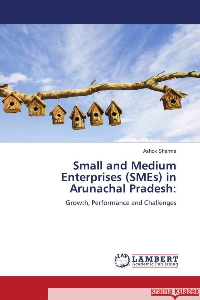 Small and Medium Enterprises (SMEs) in Arunachal Pradesh: Sharma, Ashok 9786208445614 LAP Lambert Academic Publishing - książka