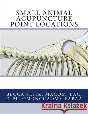 Small Animal Acupuncture Point Locations Becca Seitz Lac 9781502739834 Createspace Independent Publishing Platform - książka