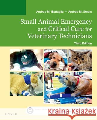 Small Animal Emergency and Critical Care for Veterinary Technicians Andrea M. Battaglia Andrea M. Steele  9780323227742 Saunders - książka
