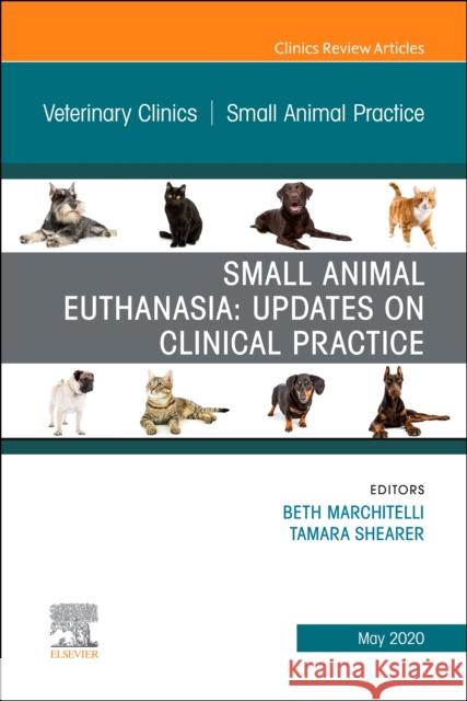 Small Animal Euthanasia, an Issue of Veterinary Clinics of North America: Small Animal Practice, Volume 50-3 Beth Marchitelli Tami Shearer 9780323720762 Elsevier - książka