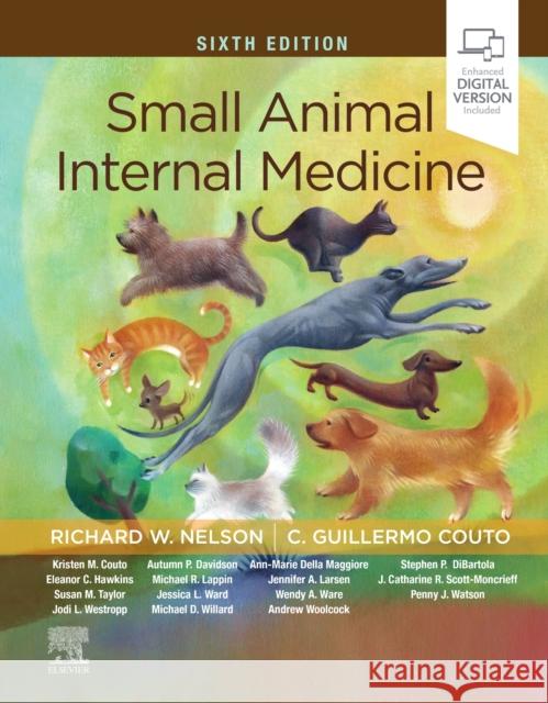 Small Animal Internal Medicine Richard W. Nelson, DVM C. Guillermo Couto  9780323676946 Elsevier - Health Sciences Division - książka