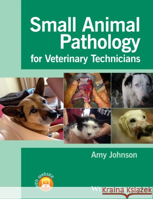 Small Animal Pathology for Veterinary Technicians Johnson, Amy 9781118434215 John Wiley & Sons - książka