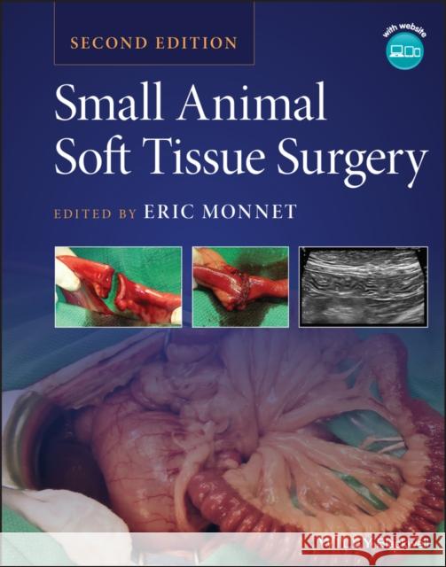 Small Animal Soft Tissue Surgery  9781119693680 John Wiley and Sons Ltd - książka