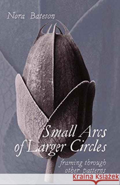 Small Arcs of Larger Circles: Framing Through Other Patterns Nora Bateson 9781909470965 Triarchy Press - książka