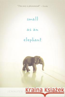 Small as an Elephant Jennifer Richard Jacobson 9780763663339 Candlewick Press (MA) - książka