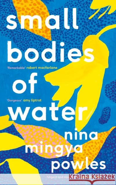 Small Bodies of Water Nina Mingya Powles 9781838852153 Canongate Books - książka