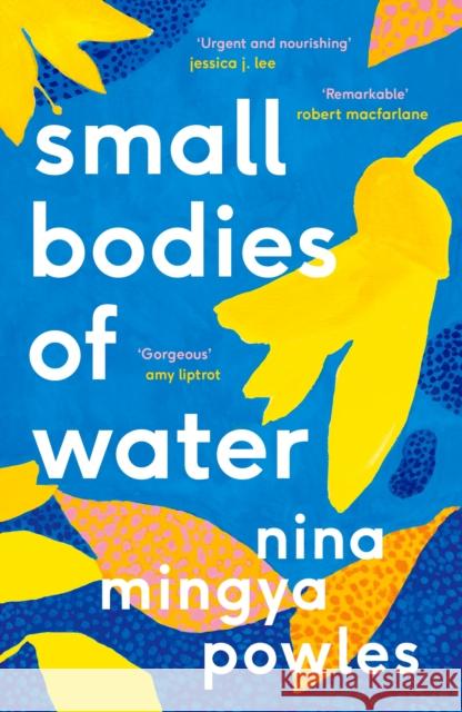 Small Bodies of Water Nina Mingya Powles 9781838852184 Canongate Books - książka