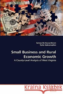 Small Business and Rural Economic Growth Semoa D Tesfa Gebremedhin 9783639300017 VDM Verlag - książka