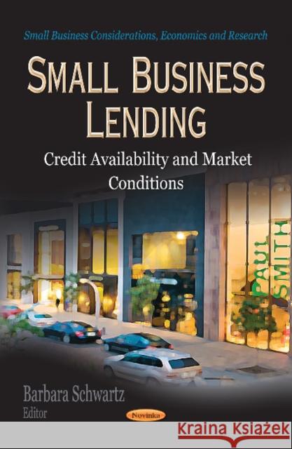 Small Business Lending: Credit Availability & Market Conditions Barbara Schwartz 9781624174803 Nova Science Publishers Inc - książka