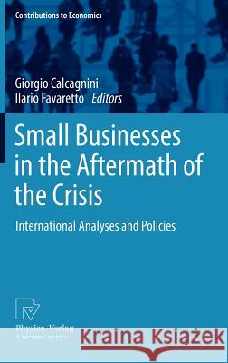 Small Businesses in the Aftermath of the Crisis: International Analyses and Policies Calcagnini, Giorgio 9783790828511 Physica-Verlag HD - książka
