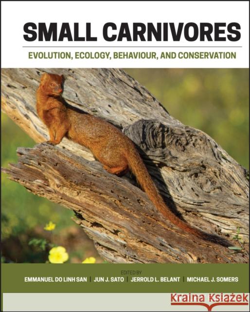 Small Carnivores: Evolution, Ecology, Behaviour and Conservation Emmanuel Do Linh San Jun J. Sato Jerrold L. Belant 9781118943281 John Wiley & Sons Inc - książka