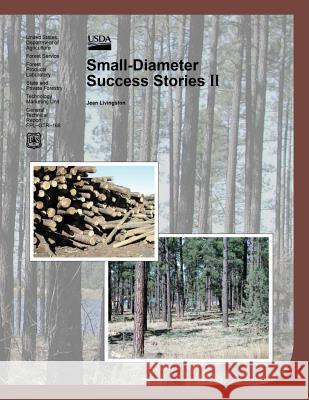 Small-Diameter Success Stories II Jean Livingston 9781508439790 Createspace - książka