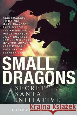 Small Dragons: A Secret Santa Initiative D. C. Daines Stephen Landry Jack Heath 9780992509248 Secret Santa - książka