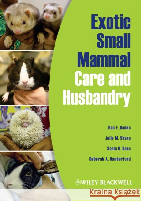 Small Exotic Mammals for Vet T Deborah A. (Office of Animal Welfare, Duke University) Vanderford 9780813810225 WILEYBLACKWELL - książka