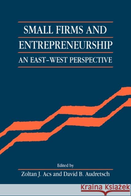 Small Firms and Entrepreneurship: An East-West Perspective Acs, Zoltan J. 9780521431156 Cambridge University Press - książka