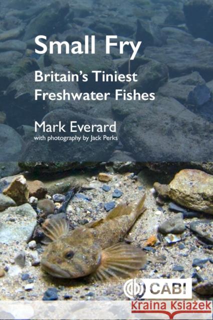 Small Fry Mark (University of the West of England, UK) Everard 9781836991687 CABI Publishing - książka