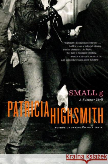 Small G: A Summer Idyll Highsmith, Patricia 9780393327038 W. W. Norton & Company - książka