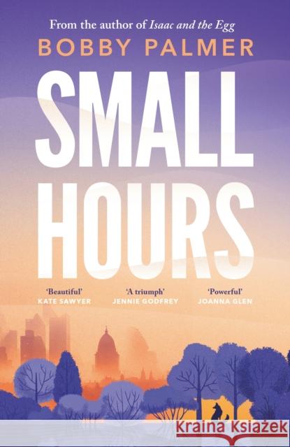 Small Hours Bobby Palmer 9781035402649 Headline Publishing Group - książka