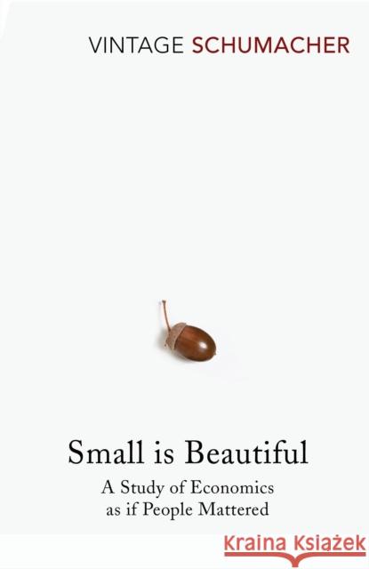 Small Is Beautiful: A Study of Economics as if People Mattered E F Schumacher 9780099225614 Vintage Publishing - książka